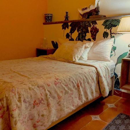 Pozzito Boutique Bed & Breakfast San Miguel de Allende Luaran gambar