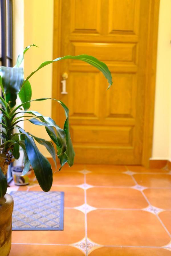 Pozzito Boutique Bed & Breakfast San Miguel de Allende Luaran gambar