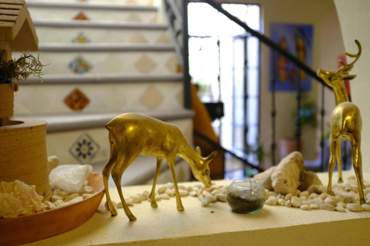 Pozzito Boutique Bed & Breakfast San Miguel de Allende Luaran gambar