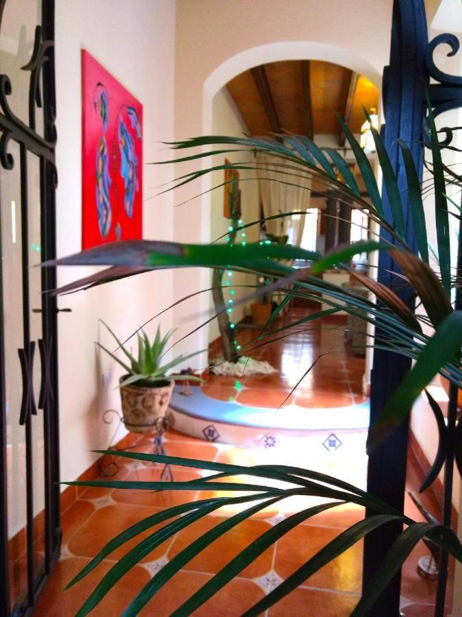 Pozzito Boutique Bed & Breakfast San Miguel de Allende Luaran gambar